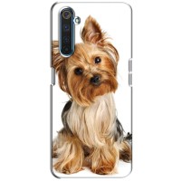Чехол (ТПУ) Милые собачки для Realme 6 Pro – Собака Терьер