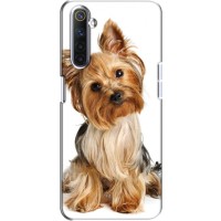 Чехол (ТПУ) Милые собачки для Realme 6 – Собака Терьер
