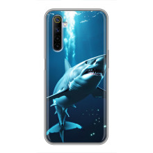 Чехол с картинкой «Хищники» для Realme 6 – Акула
