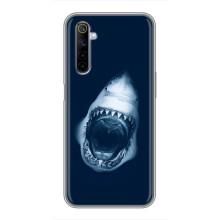 Силиконовый бампер с картинкой животных для Realme 6 (Пасть Акулы)