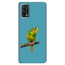 Силиконовый чехол с птичкой на Realme 7 Pro – Попугайчик