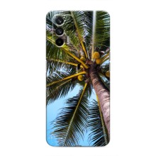 Силиконовый чехол с КАРТИНКАМИ лето для Realme 7 (AlphaPrint) (Пальма)
