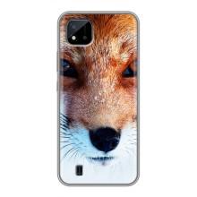 Чохол з Лисичкою для Realme C11 (2021) / C20 (Руда Лисичка)