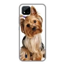 Чохол (ТПУ) Милі песики для Realme C11 (2021) / C20 (Пес Терьєр)
