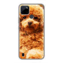 Чехлы с собаками для Realme C21Y (VPrint) (Щенок Бишон)