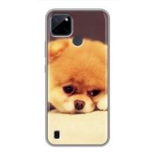 Чехол (ТПУ) Милые собачки для Realme C21Y (Померанский шпиц)