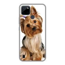 Чехол (ТПУ) Милые собачки для Realme C21Y (Собака Терьер)