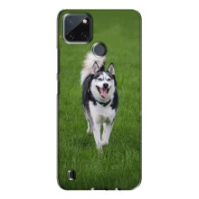 Чехол с Хаски для Realme C21Y - (AlphaPrint) (Радостный Хаски)