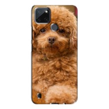 Чехлы с собаками для Realme C21Y (VPrint) (Щенок Бишон)