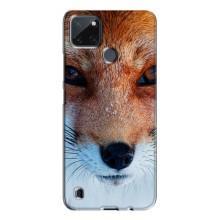 Чохол з Лисичкою для Realme C21Y (Руда Лисичка)
