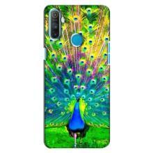 Чехол с птицами на Realme C3 (VPrint) (Яркий Павлин)