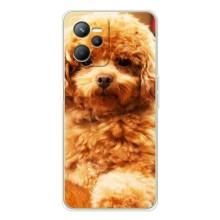 Чехлы с собаками для Realme C36 (VPrint)