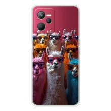 Чехол с принтом стильные животные для Реалми С36 (Ламы в очках)