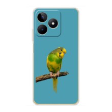 Силиконовый чехол с птичкой на Realme C51 – Попугайчик