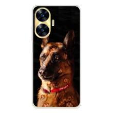 Чехлы с картинками животных Realme C56 (Овчарка)