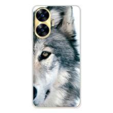 Чехлы с картинками животных Realme C56 (Волк)