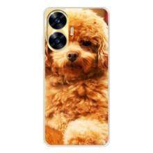 Чехлы с собаками для Realme C56 (VPrint)