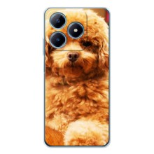 Чехлы с собаками для Realme C61 (VPrint) (Щенок Бишон)
