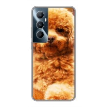 Чехлы с собаками для Realme C65 (VPrint) (Щенок Бишон)