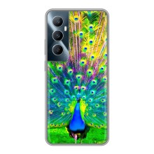 Чехол с птицами на Realme C65 (VPrint) (Яркий Павлин)