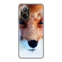 Чохол з Лисичкою для Realme C67 – Руда Лисичка