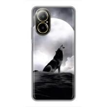 Чехол с Волком на Realme C67 – Волк и луна