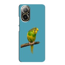 Силіконовий бампер з птичкою на Realme C67 – Попугайчик