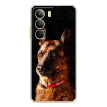 Чехлы с картинками животных Realme C71 (Овчарка)