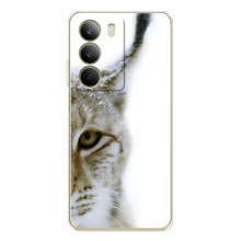 Чехлы с картинками животных Realme C71 (Рысь)