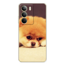 Чехол (ТПУ) Милые собачки для Realme C71 (Померанский шпиц)