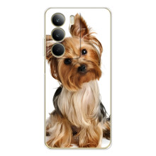 Чехол (ТПУ) Милые собачки для Realme C71 (Собака Терьер)