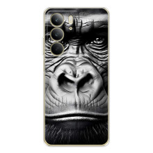 Чехлы с Горилой на С73 4Джи – Черная обезьяна