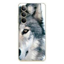 Чехлы с картинками животных Realme C73 5G – Волк