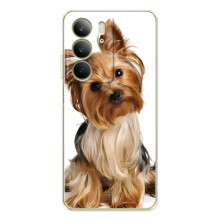 Чехол (ТПУ) Милые собачки для Realme C73 5G (Собака Терьер)