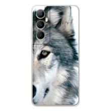 Чехлы с картинками животных Realme C75 (Волк)