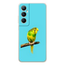 Силіконовий бампер з птичкою на Realme C75 – Попугайчик
