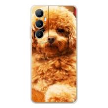 Чохли з собаками для Realme C76 (VPrint)