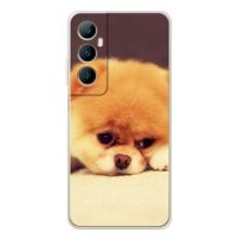 Чехол (ТПУ) Милые собачки для Realme C76 – Померанский шпиц
