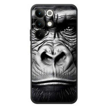 Чехлы с Горилой на Реалми С85 – Черная обезьяна