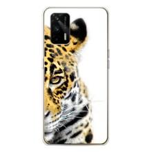 Чехлы с картинками животных Realme GT 5G (Леопард)