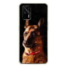 Чехлы с картинками животных Realme GT 5G (Овчарка)