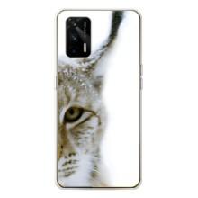 Чехлы с картинками животных Realme GT 5G (Рысь)