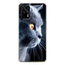 Чехлы с Котиками для Realme GT 5G (VPrint)