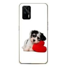 Чехлы с собаками для Realme GT 5G (VPrint)