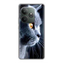 Чехлы с Котиками для Realme GT 6 (VPrint) (Серый Кот)