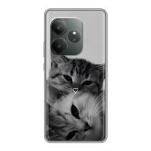 Чохол з малюнком кіт на Realme GT 6 – Пара котів