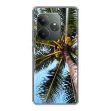 Силиконовый чехол с КАРТИНКАМИ лето для Realme GT 6 (AlphaPrint) (Пальма)