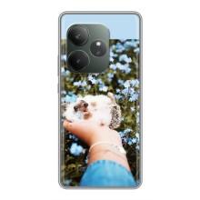 Чохли з зображенням різних тварин на Realme GT 6T (Їжачок в руці)