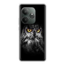 Чехлы с принтом СОВЫ для Realme GT 6T – Сова на чёрном