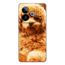 Чехлы с собаками для Realme GT 7 (VPrint) (Щенок Бишон)